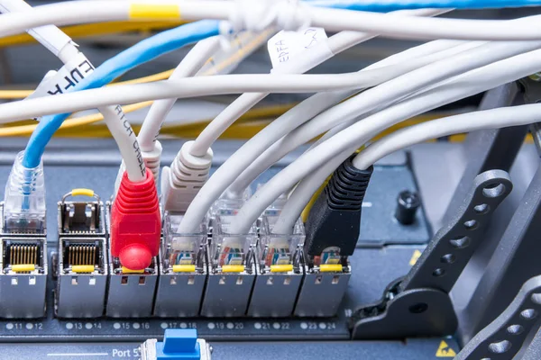 Деталь Кабелів Ethernet Єднаних Перемикання Портів — стокове фото