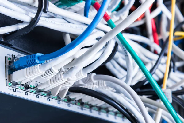 Olika Ethernet Kablar Inkopplade Nätverksbrytare — Stockfoto