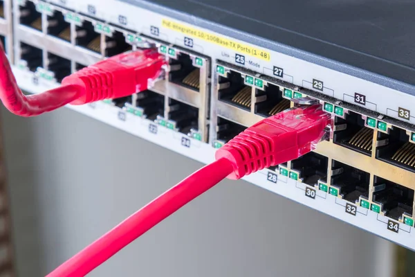 Czerwony Kabel Ethernet Podłączony Przełącznika Internetowego — Zdjęcie stockowe