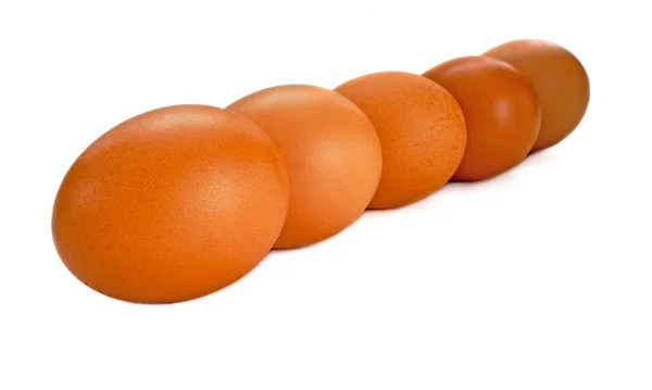 Group of eggs isolated — Stock Photo, Image