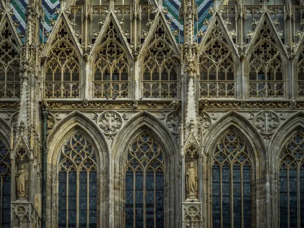 Detaljer Och Gamla Katedralen Fasad — Stockfoto