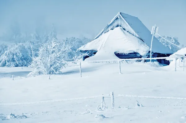 눈 덮인 하우스와 겨울 풍경 스톡 이미지