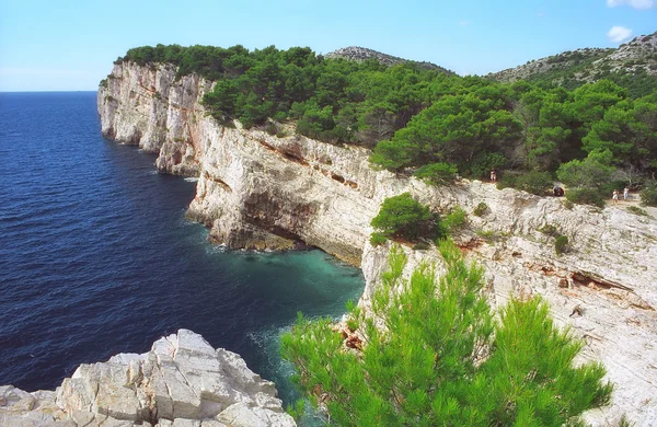 Адриатический летний солнечный берег скалы Хорватии Стоковое Изображение