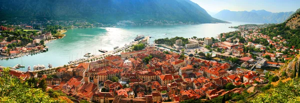 Kotor from the fortress — Stock Photo, Image