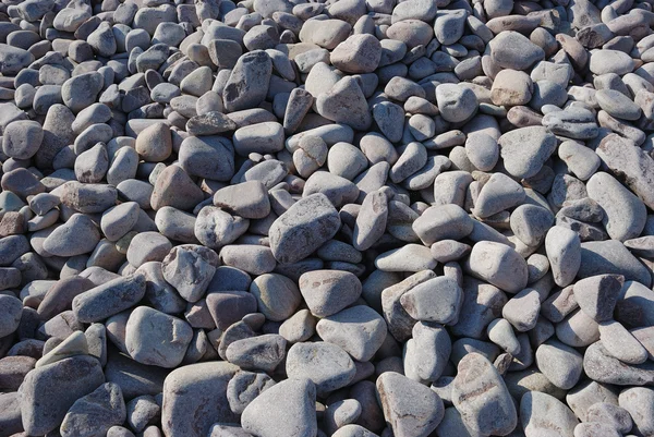 Pebble — Stock Photo, Image