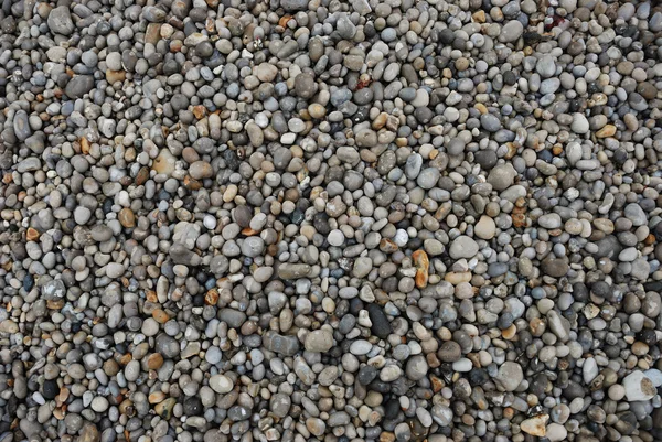 Pebble — Stock Photo, Image