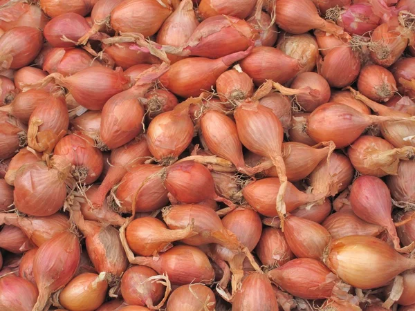 arpacık, piyasa ahır