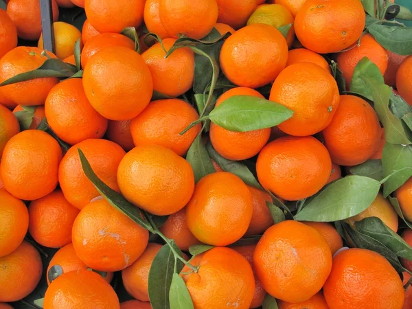 Clementine narancs Jogdíjmentes Stock Képek