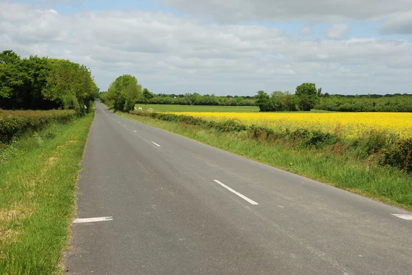 Road — Stock Photo, Image