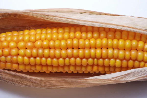 Ухо спелой кукурузы — стоковое фото