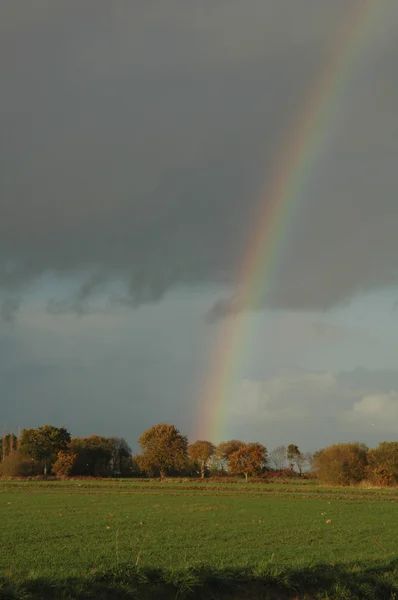 Arc-en-ciel sur une prairie — Photo