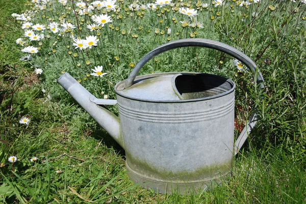 Watering can in garden — Stock Photo, Image