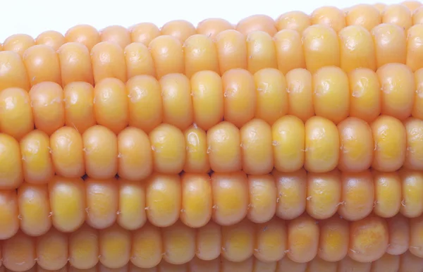 An ear of ripe corn — Stock Photo, Image