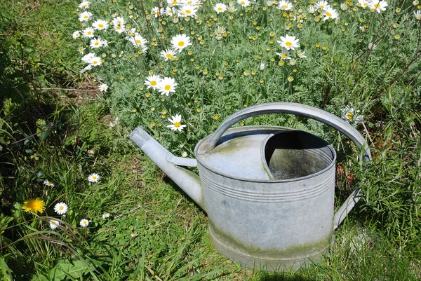 Watering can in garden — Stock Photo, Image