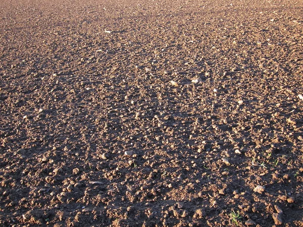 Terreno de sementeira — Fotografia de Stock