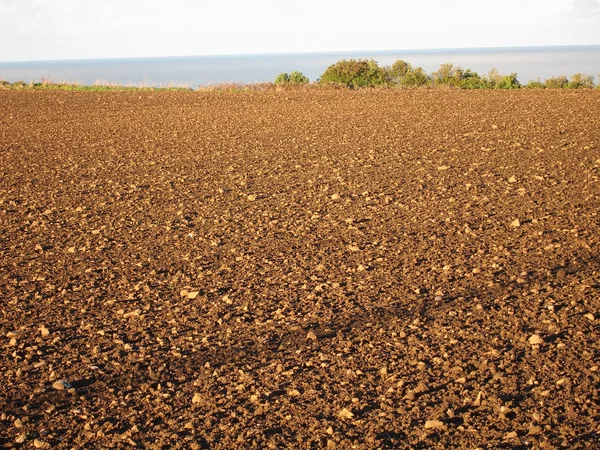 Terreno de siembra —  Fotos de Stock