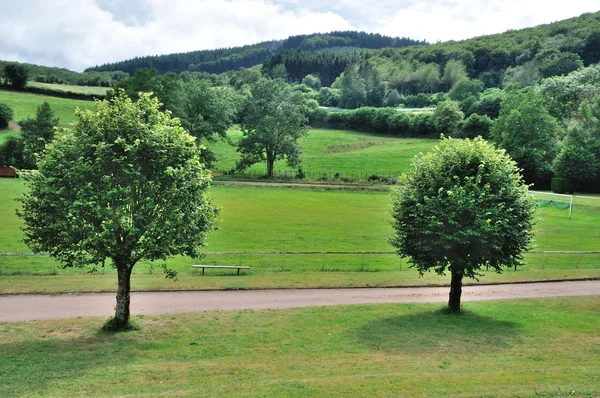 Väg i landet — Stockfoto