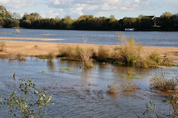 Edge of the Loire — Stock Photo, Image