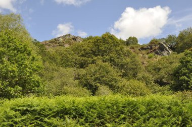 İngiltere 'de Bon Repos sur Blavet' te Landes de Liscuis