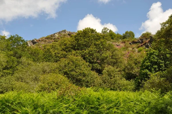 Landes Liscuis Bon Repos Sur Blavet Bretagne — Photo