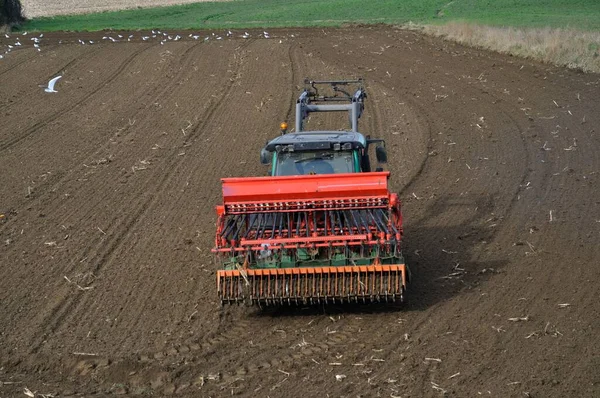 Traktor Vetés Egy Mezőn Bretagne — Stock Fotó