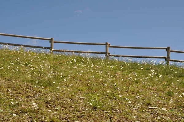 ヴァロワールの牧草地のフェンス — ストック写真