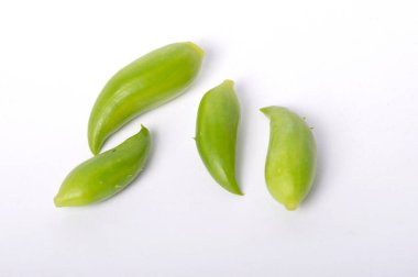 Beyaz arkaplanda Achocha