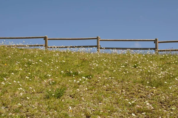 Zaun Auf Den Weiden Valloire — Stockfoto