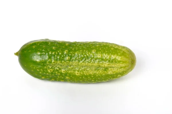 Pepino Pequeño Sobre Fondo Blanco — Foto de Stock