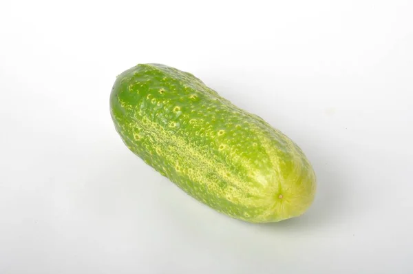 Small Cucumber White Background — Stock Photo, Image