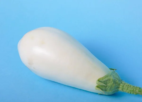 White Eggplant Blue Background — Stock Photo, Image