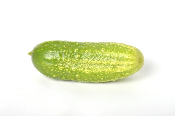 Small Cucumber White Background — Stock Photo, Image