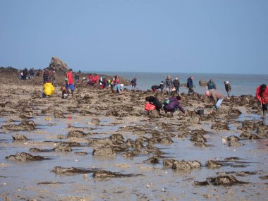 fishers in a Brittany beach