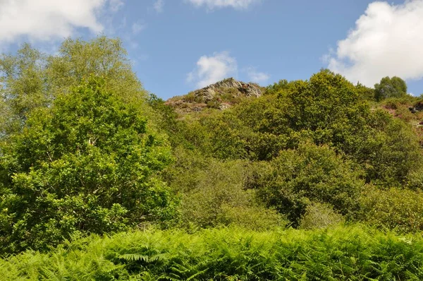 Landes Liscuis Bon Repos Sur Blavet Der Bretagne — Stockfoto