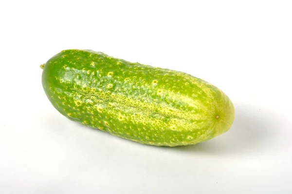 Small Cucumber White Background — Stock Photo, Image
