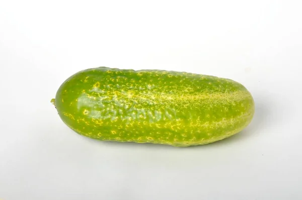 Small Cucumber White Background — Stock Photo, Image