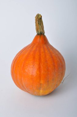 beyaz arkaplanda balkabağı