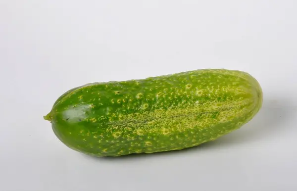 Small Cucumber White Background — Stock Photo, Image