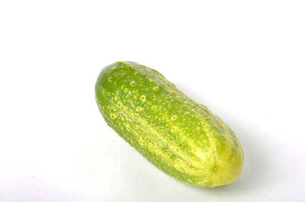 Small Cucumber White Background — Stock Photo, Image
