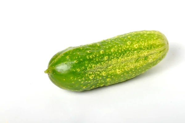 Small Cucumber White Background — Stock Photo, Image