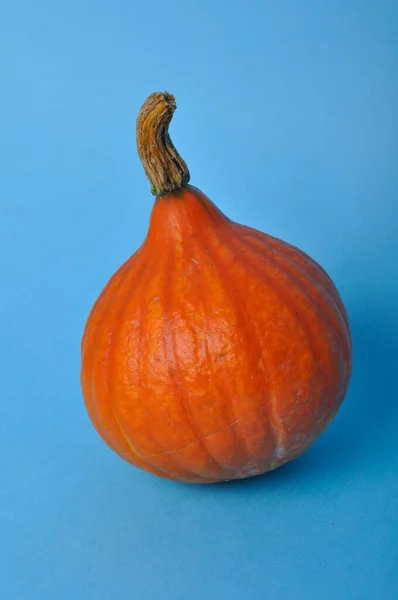 Pumpa Blå Bakgrund — Stockfoto