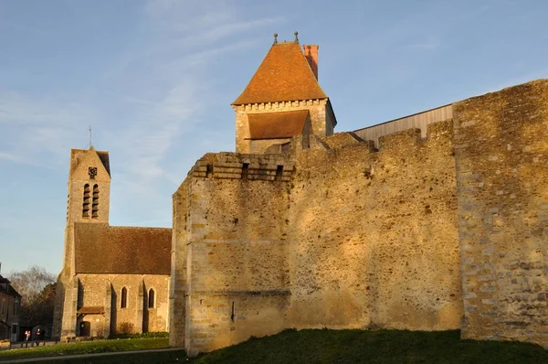 Κάστρο Της Blandy Les Tours Στο Σηκουάνα Και Μάρνη — Φωτογραφία Αρχείου