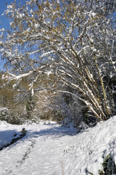 Camino Bajo Nieve Bretaña — Foto de Stock