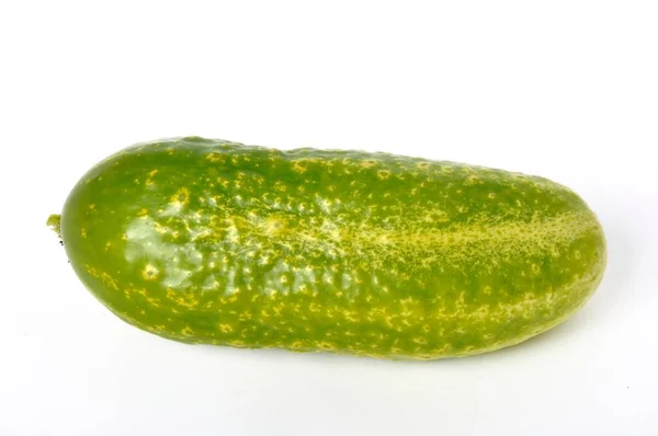 Small Cucumber White Background — Stock Photo, Image