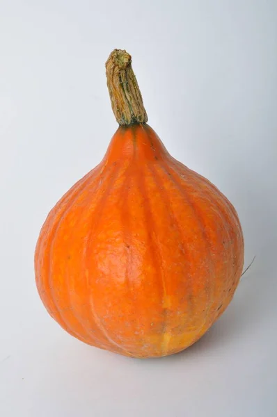 Calabaza Sobre Fondo Blanco — Foto de Stock