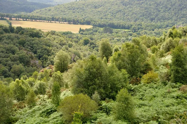 Landes Liscuis Vid Bon Repos Sur Blavet Bretagne — Stockfoto