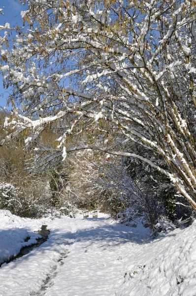 Camino Bajo Nieve Bretaña — Foto de Stock