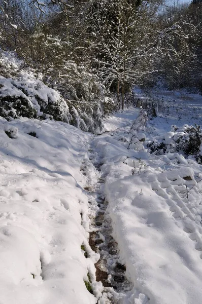 Camino Bajo Nieve Bretaña — Foto de Stock