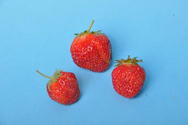 Strawberries Blue Background — Stock Photo, Image