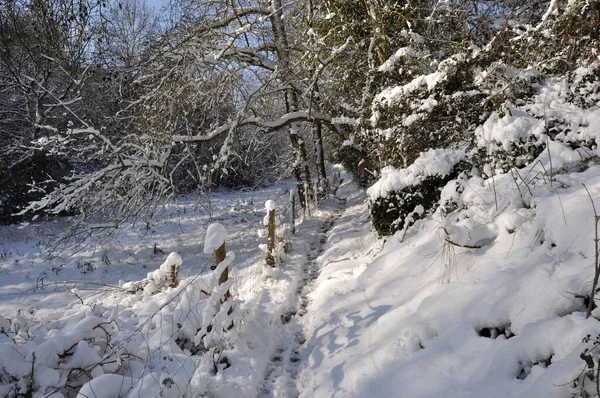 Camino Bajo Nieve Bretaña — Foto de Stock